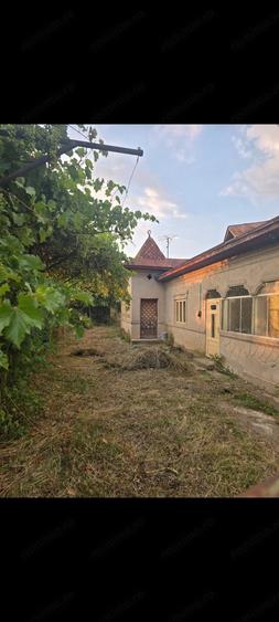 Casă cu Teren 2533 Mp în Gheboaia