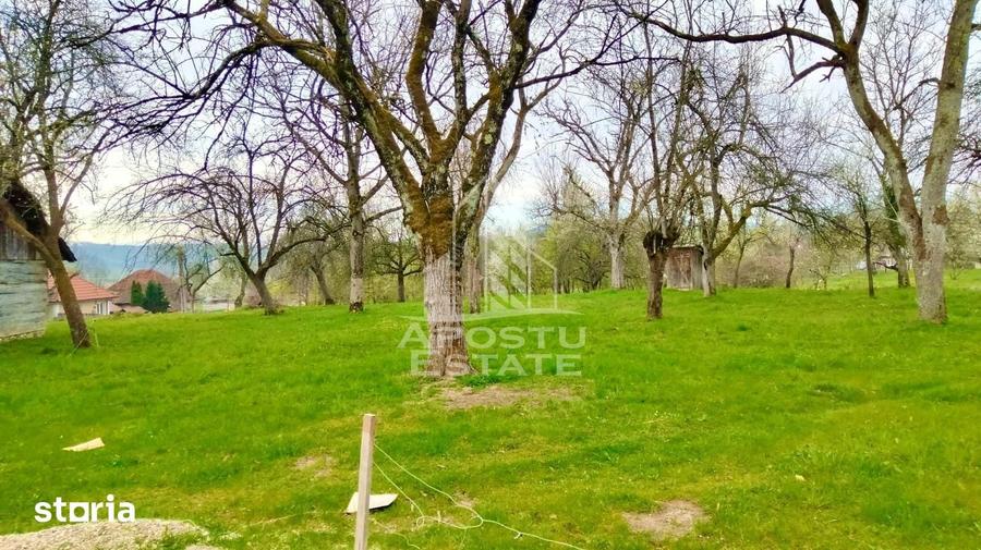 Casă cu 4 camere cu Teren 1079 Mp în Vârfurile