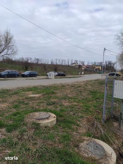 Teren intravilan Branesti 600m2, 950m2 sau 1900m2, toate utilitatile - 5