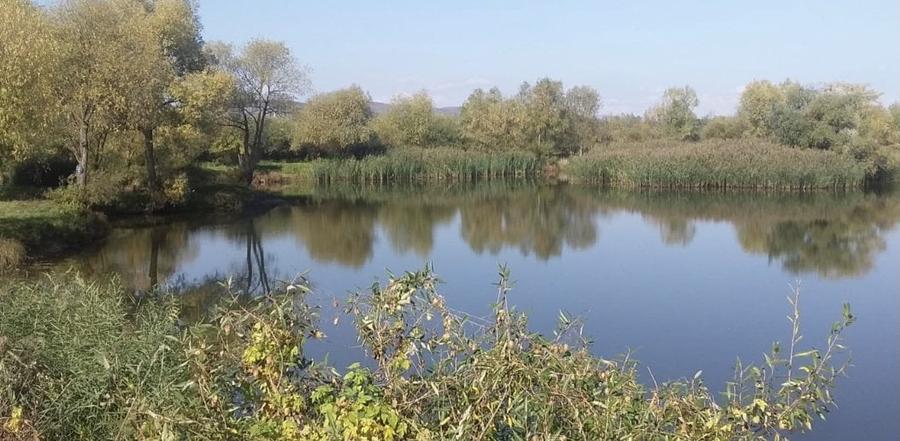 Teren Construcții extravilan de 91400 mp, în Ilieni