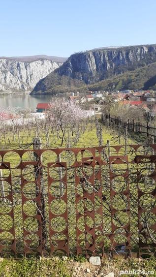 Teren intravilan de vanzare, golful Dubova, 1552metri patra?i-62euro m.p NEGOCIABIL! - 4