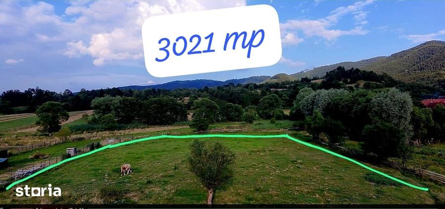 Teren de 3021 mp, în Șinca
