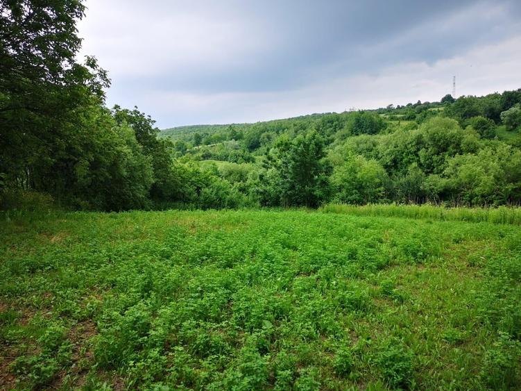 Teren intravilan - 2980mp - de vanzare in Carbunari Grajduri - 2