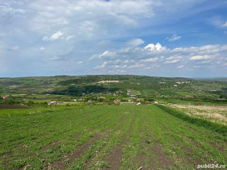 Teren de 6000 mp, în Exterior Vest
