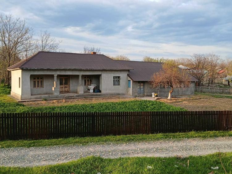 Casa + Teren Radovanu jud Calarasi - 4