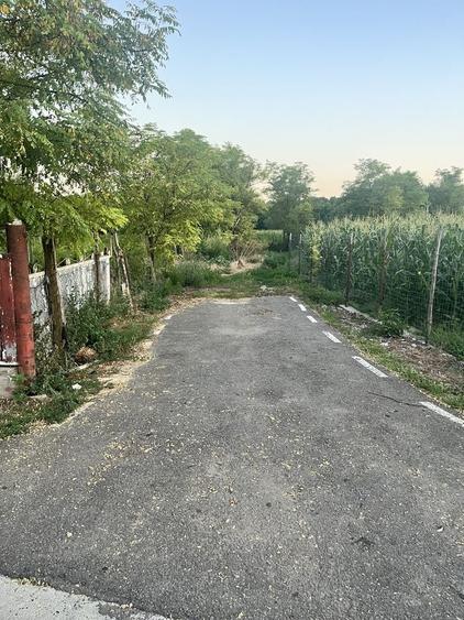 Spațiu comercial, în Umbrărești
