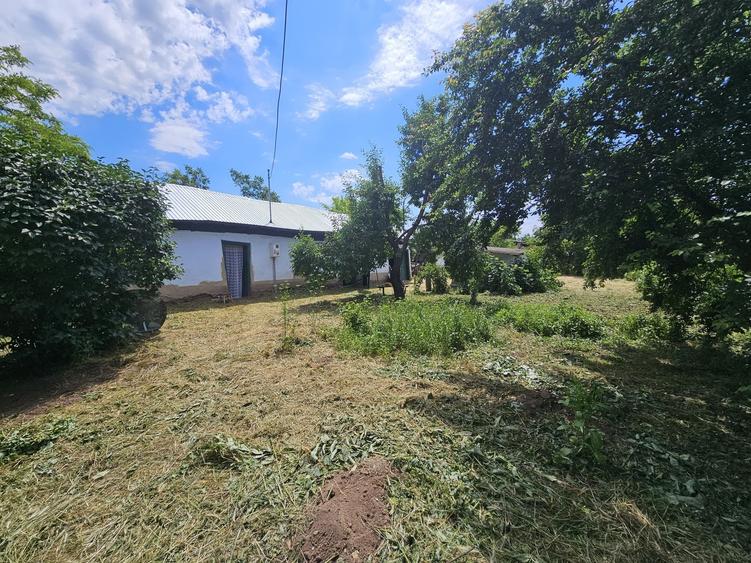 Casă cu 3 camere în Movila Miresii