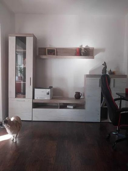 Apartament cu 2 camere semidecomandat, mobilat în Podul de Fier