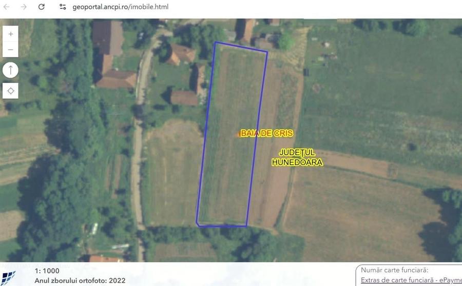 Teren Construcții intravilan de 3344 mp, în Baia de Criș
