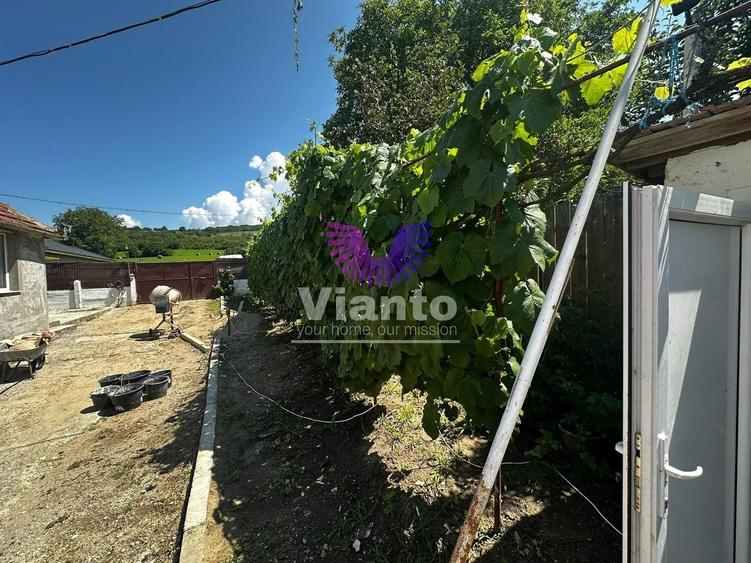 Casa Individuala 95 Mpu, Teren 800mp-Slimnic-Rusi - 12