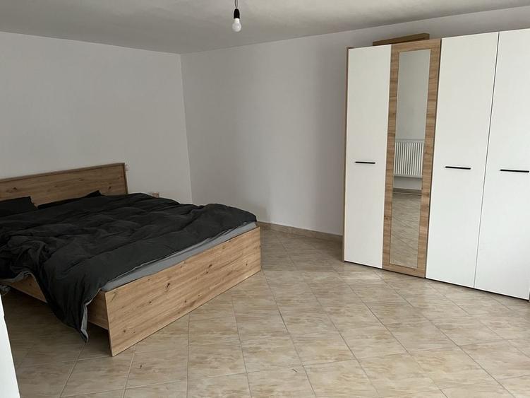 Apartament mobilat de inchiriat la cativa kilometri de Moinesti - 10