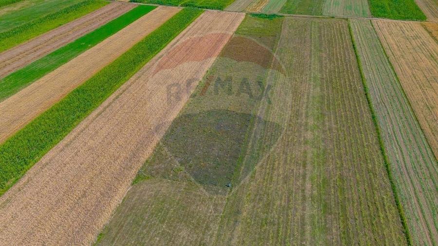 Teren agricol extravilan de 7000 mp, în Teliu