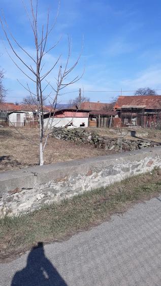 Teren de 1000 mp, în Brănișca