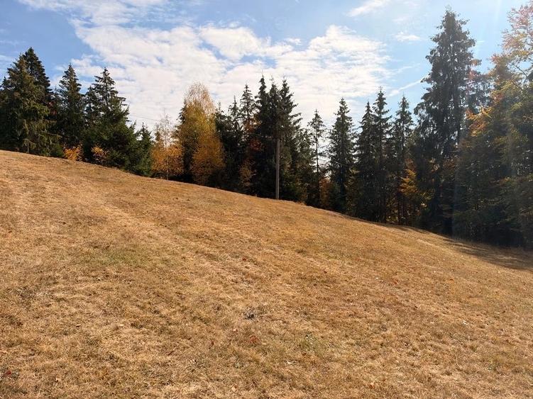 Teren de 3250 mp, în Scărișoara