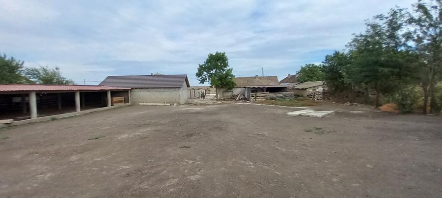 Casă individuală cu 3 camere cu Teren 5060 Mp în Ciobănița