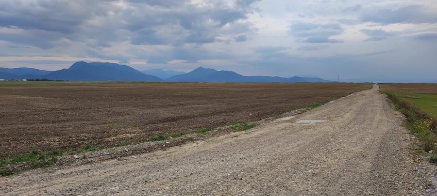 Teren agricol extravilan de 10000 mp, în Cărpiniș