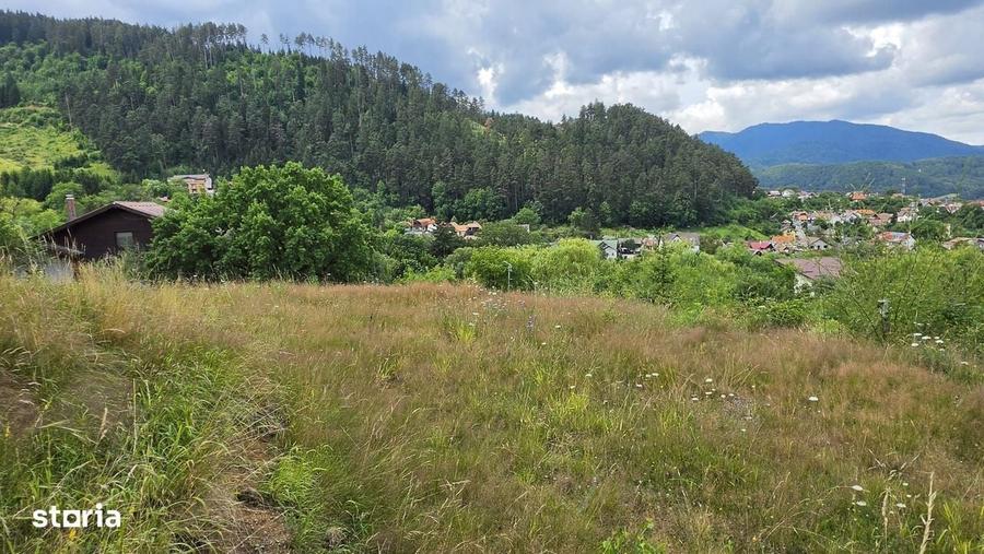 Teren intravilan cu vedere panoramica Sacele, Brasov - 3