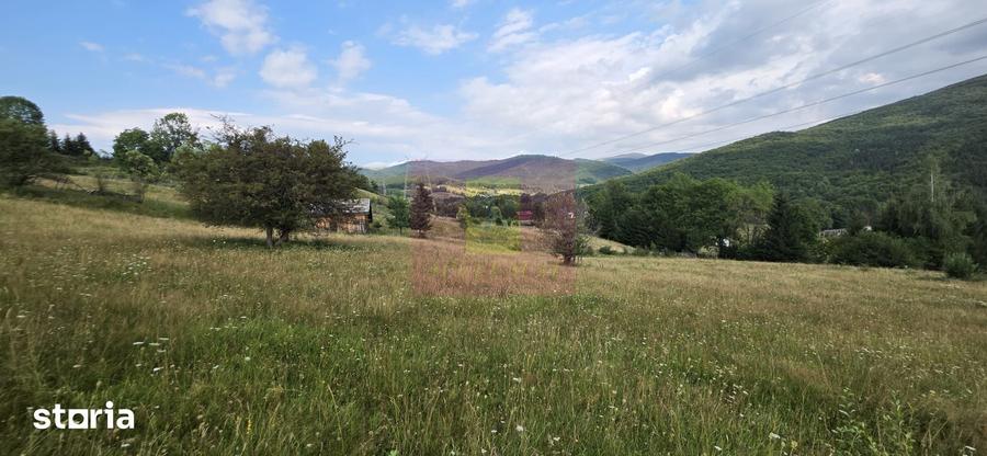 Teren intravilan de vanzare 3500 mp in Valea Doftanei - 1