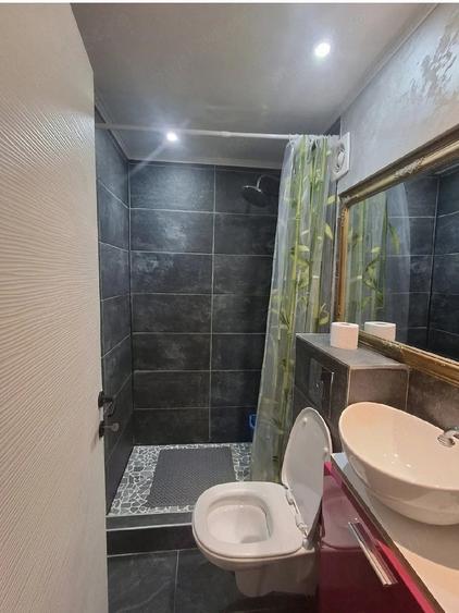 Apartament cu 2 camere decomandat în Moara de Vânt