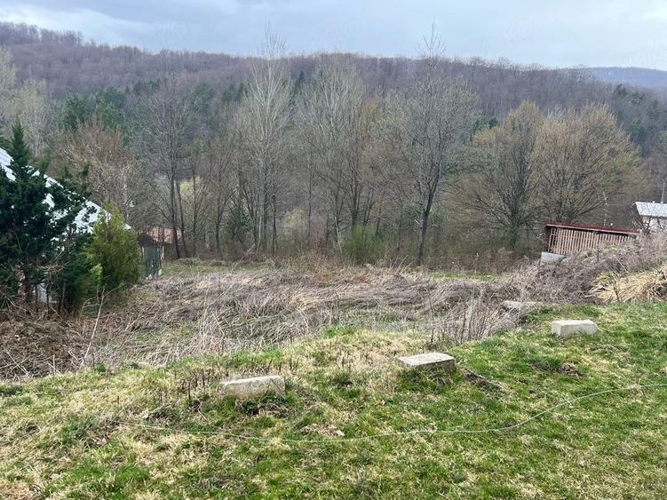 Teren de 400 mp, în Central
