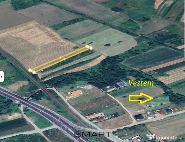 Teren 3100 mp zona Mohu Sibiu - Selimbar (Sibiu) - 1