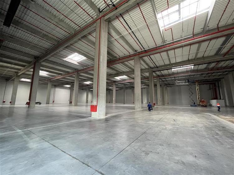 Spațiu industrial, de 10,000 mp, în Cernica