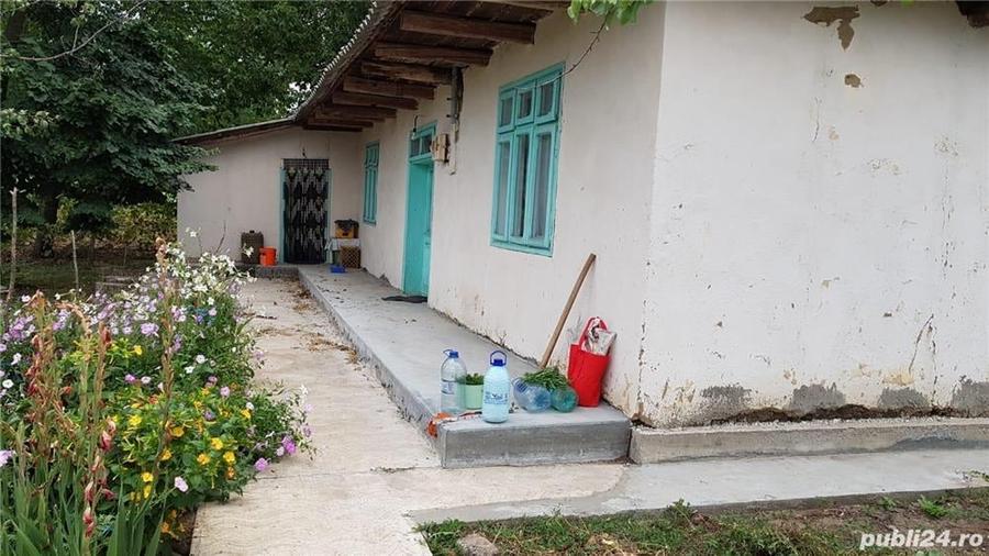 Casă cu 3 camere cu Teren 9228 Mp în Sălceni