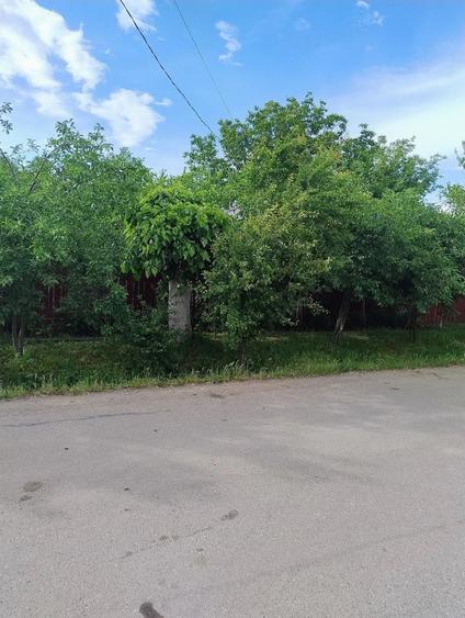 Casă cu Teren 2000 Mp în Izvoarele