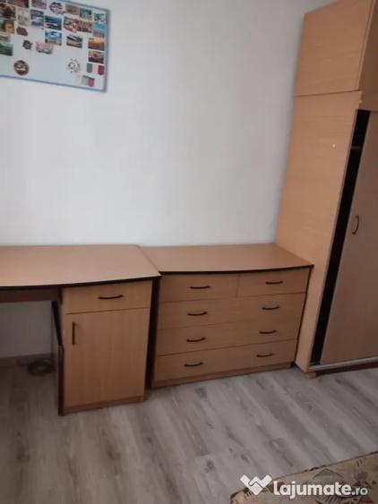 Apartament cu 2 camere semidecomandat în Banat