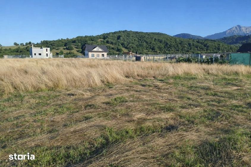 Teren de 1000 mp, în Glăjărie