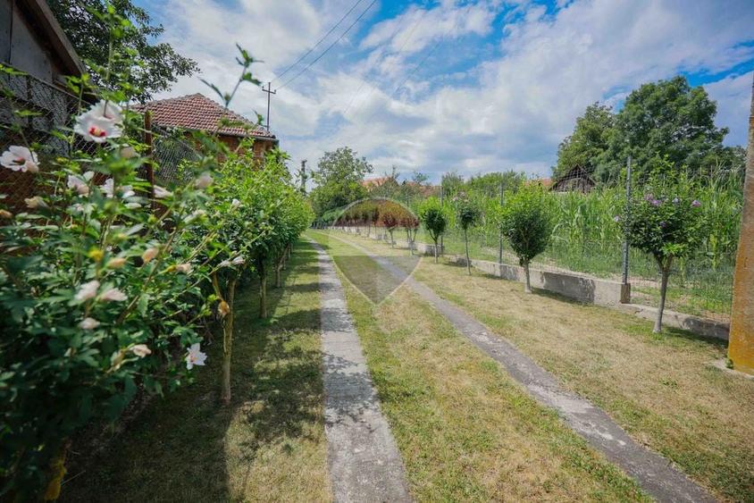 Casă cu 3 camere cu Teren 8788 Mp în Forosig