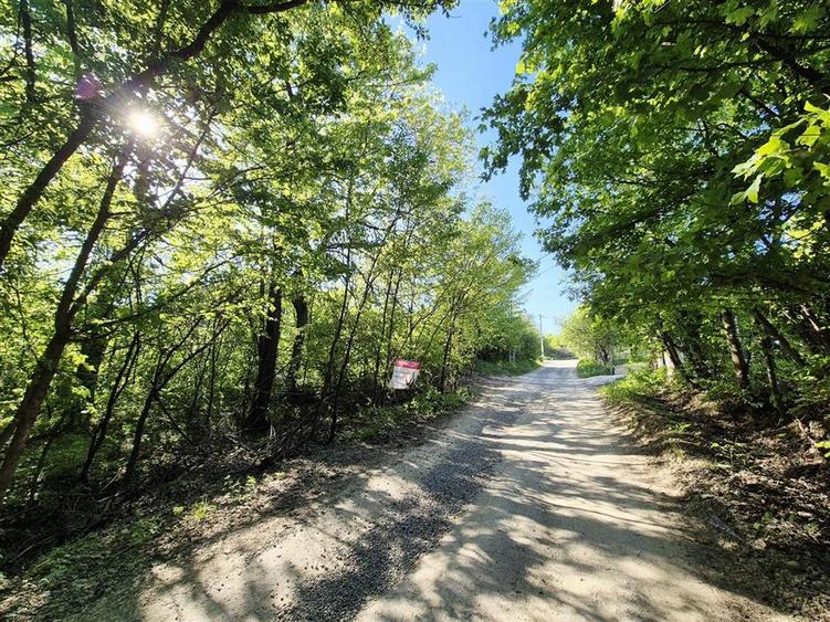 Teren Construcții intravilan de 708 mp, în Bârnova