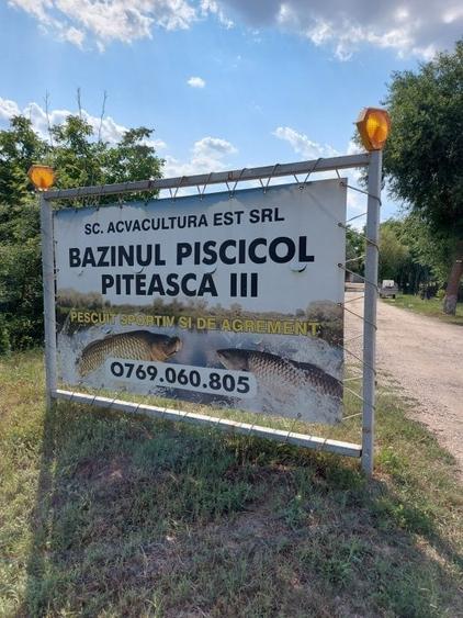 Teren Construcții intravilan de 1000 mp, în Găneasa
