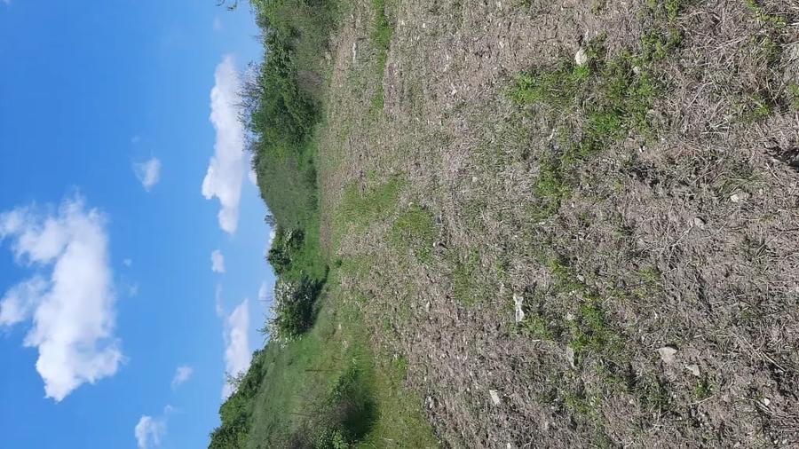 Teren de 7000 mp, în Poșta (Topliceni)