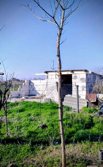 Casă cu Teren 1609 Mp în Unirea
