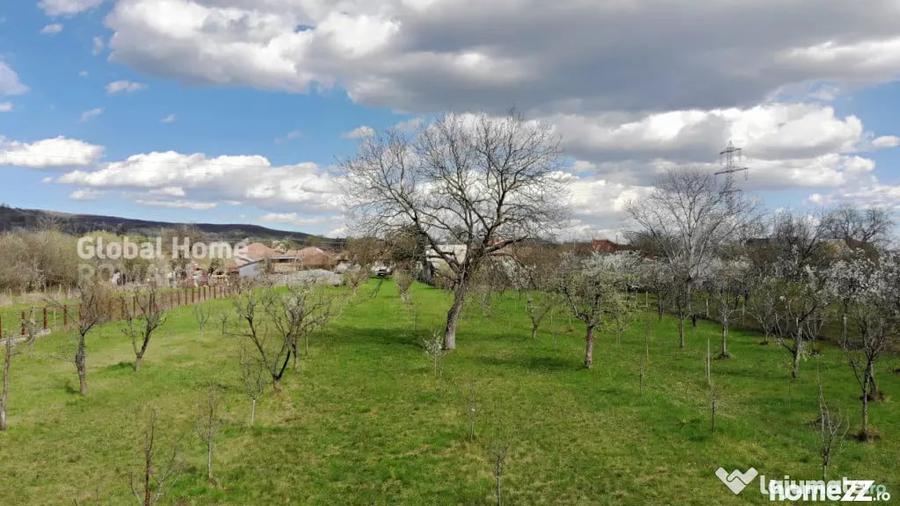 Teren de 4898 mp, în Cornu