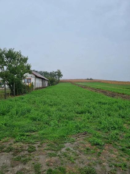 Teren de 1400 mp, în Sâncrai
