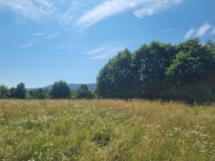 Teren agricol extravilan de 3250 mp, în Dejani