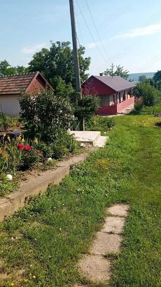 Casă cu 2 camere cu Teren 3500 Mp în Central