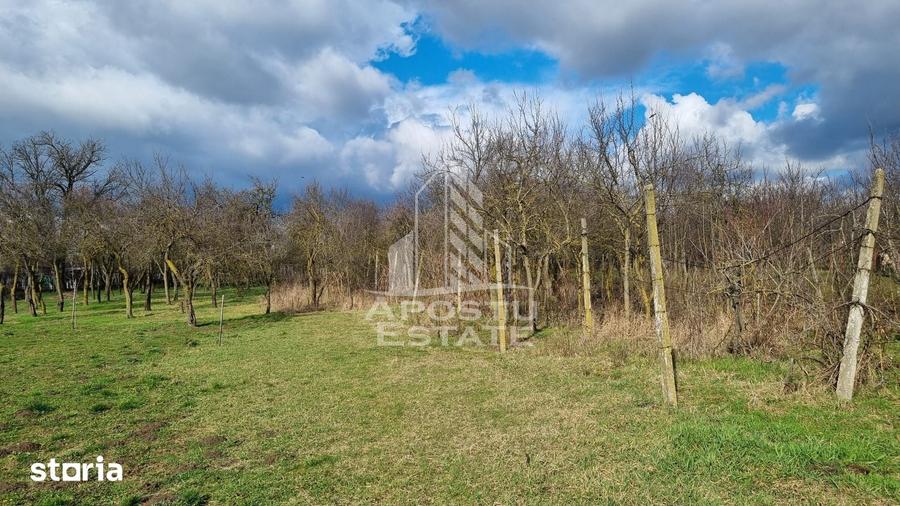 Casă cu 3 camere cu Teren 1750 Mp în Sânandrei