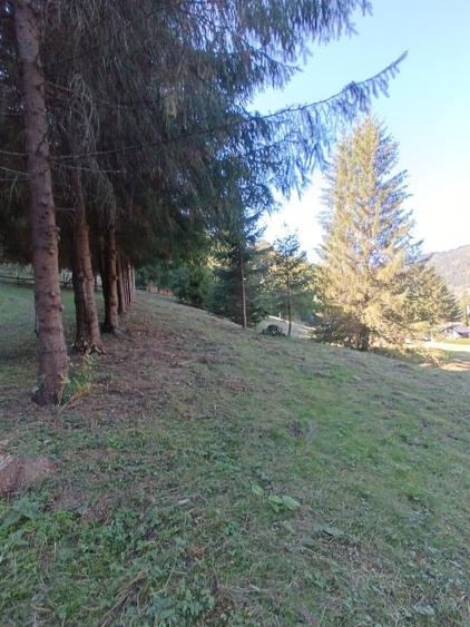 Teren intravilan de 2150 mp, în Lunca Bradului
