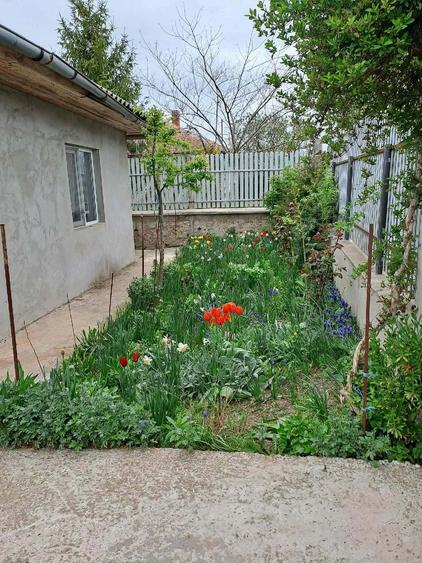 Casă cu Teren 607 Mp în Limanu