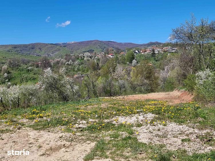 Teren de 1600 mp, în Pucheni