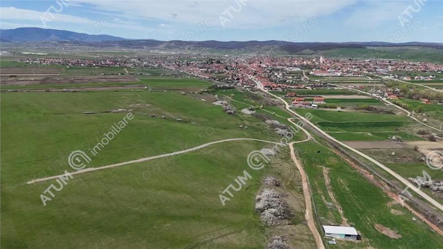 Teren de vanzare 546 mp in Sibiu pretabil investitie - 4