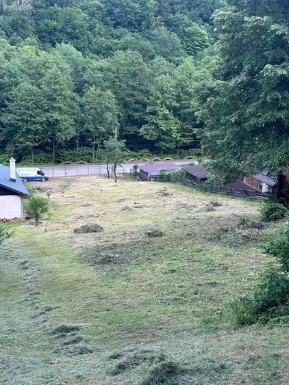 Teren Construcții intravilan de 6200 mp, în Tăuții-Măgherăuș