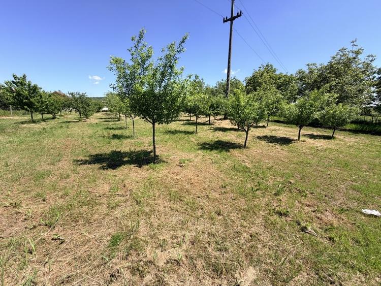 Casă individuală cu 6 camere cu Teren 3000 Mp în Exterior Nord
