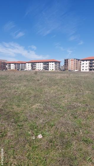 Teren de 5000 mp, în Dobroești