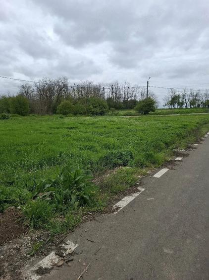 Teren de 750 mp, în Vlădiceasca