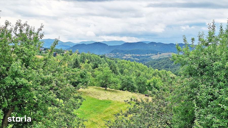 Teren de 1000mp in Bran, satul pitoresc Pestera - 10