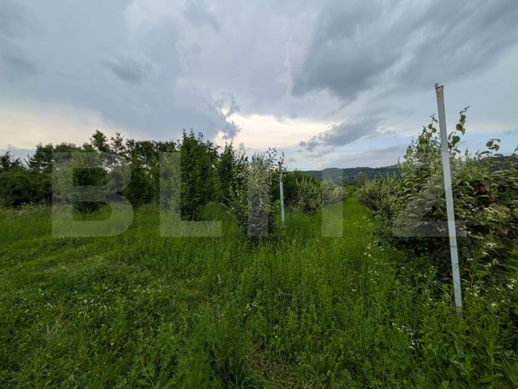Teren Construcții intravilan de 4500 mp, în Voinești